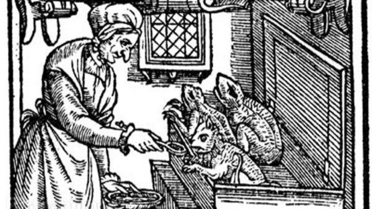 A graphic of a witch and her familiars